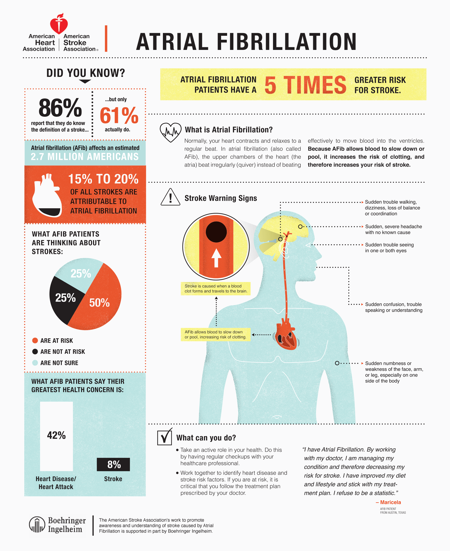 What is an infographic 13